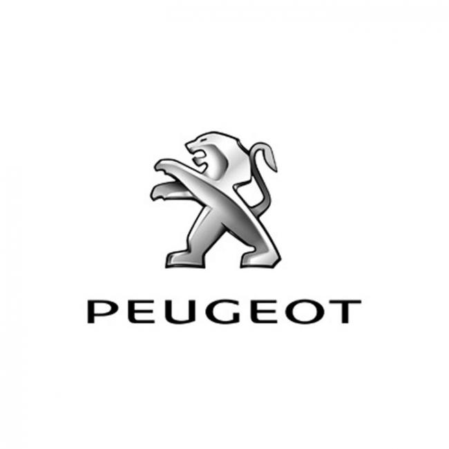 Kit de balisage pour Peugeot Expert